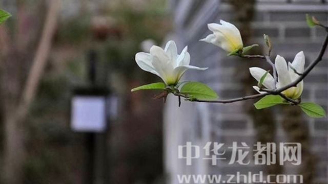 淮陽蓮舍，多了一份味道