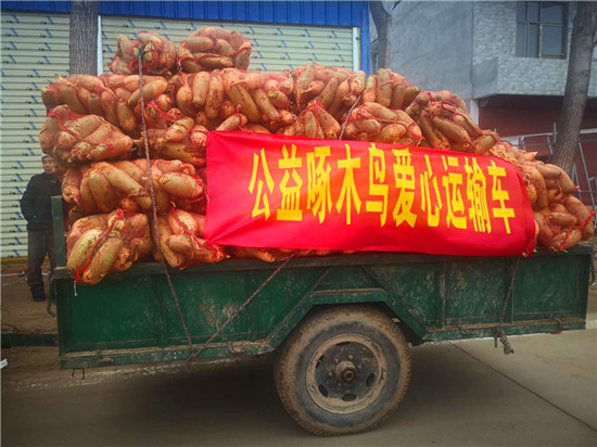 ＂愛心蘿卜＂來了！