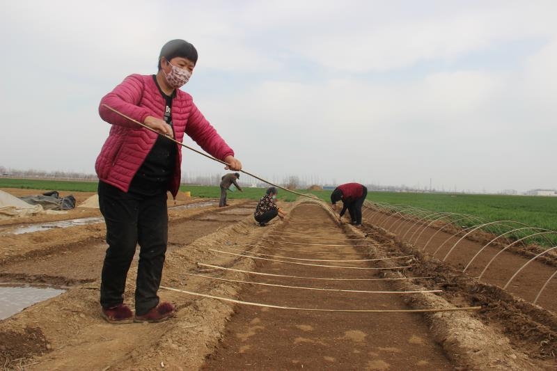 疫情防控、春耕生產(chǎn)兩手抓