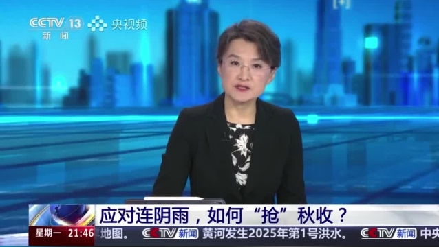 【主流媒體看周口】面對(duì)連陰雨 如何“搶”秋收？